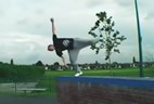 Ryan Doyle: Crazy Park Day (video)